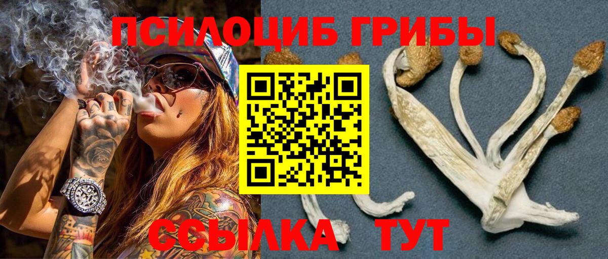 Губкинский  Псилоцибиновые грибы MAGIC MUSHROOMS  Вход с VPN 